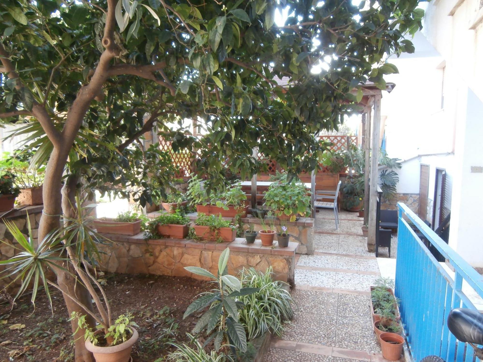 Busalacchi B&B 몬델로 외부 사진